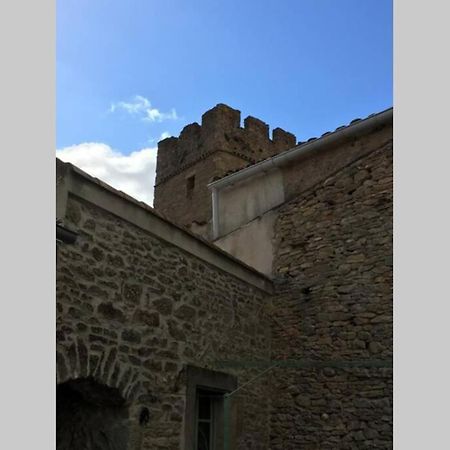 Ferienwohnung Le Petit Ormeau Attenant A La Tour Du Portail Neuf Laure-Minervois Exterior foto